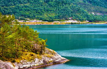 Shore of Innvikfjorden near Stryn - Norway