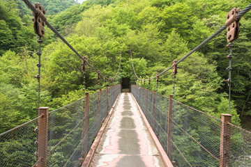 Ponte para verde