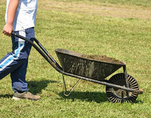 Man with manure in the wheelbarrow