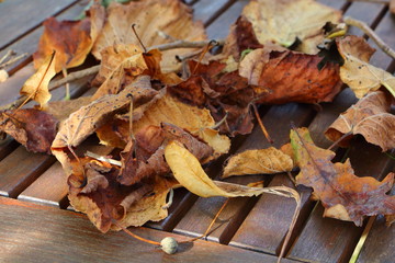 Feuilles mortes sur table de jardin