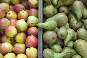 Stack of green pears next to pile of fresh red and green apples on display in outdoor baskets at farmers fruit market 