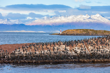 Bird Island near Ushuaia