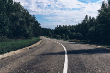 Asphalt road in the woods