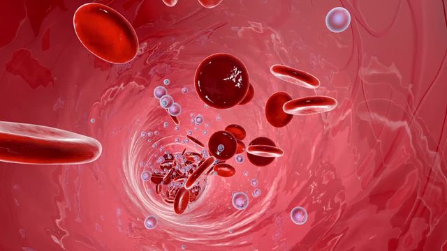 Bloodstream with flowing Erythrocytes and Oxygen.
