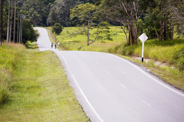 Fototapeta premium タイのカオヤイ国立公園