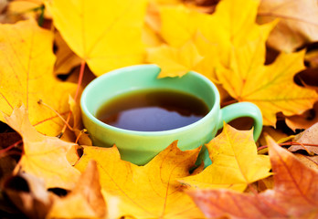 Coffee cup in an autumn morning