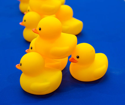 yellow rubber duck on blue background