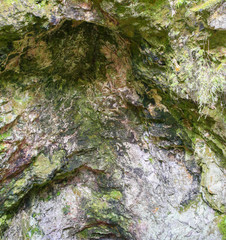 Ruatapu cave in Orakei Korako geothermal valley in New Zealand