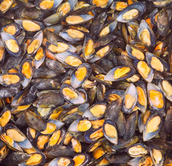 Frozen mussels with shells on fish market, view from top, fits as background