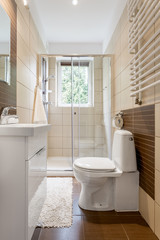 Small and functional bathroom interior