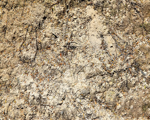 Ground texture in wai-o-tapu geothermal area. Rotorua, NZ