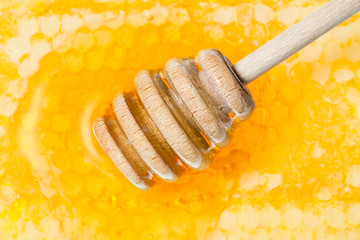 wooden honey dipper on surface of honeycomb