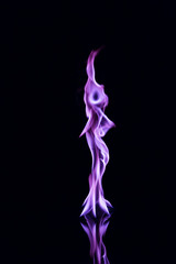 Purple  Flame