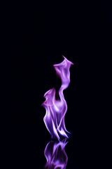 Purple  Flame