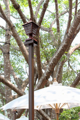 Brown steel lantern decorated in coffee shop.