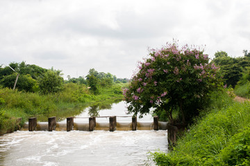 Dam water in the countryside.