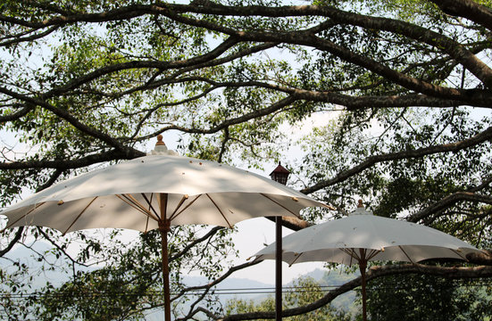 Big white umbrellas in the garden.