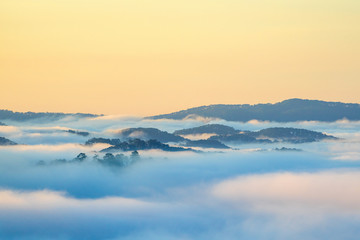 Fog over mountain and forest on sunrise