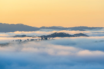 Naklejka premium Fog over mountain and forest on sunrise