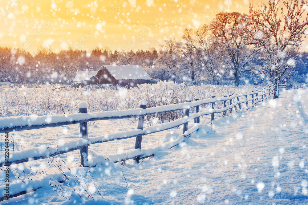 Wall mural Rural house with a fence in winter. Village after snowfall