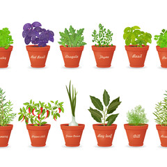 collection isolated seamless borders with herbs planted in pots