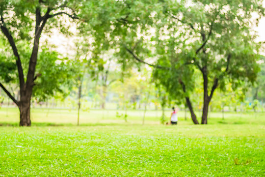 Blurred background,People exercise at green park with bokeh ligh