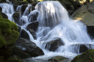 Bergbach in den Alpen, Italien