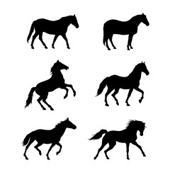 Running horse. Set of black silhouettes. Vector illustration.