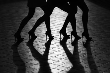 Female legs in fashionable shoes