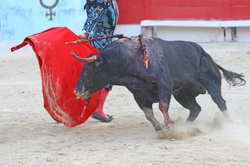 Peel and stick wall murals Bullfighting Corrida