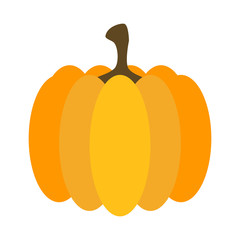 Pumpkin isolated in white background
