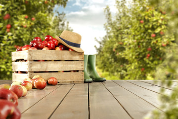 apples and trees and wooden table 