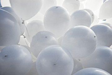 White Toy Balloons