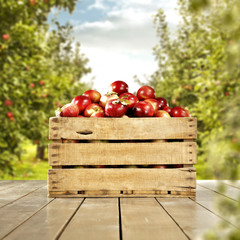 apples and trees and wooden table 