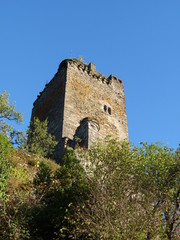 Fototapeta na wymiar Château de Valon à Lacroix-Barrez en Aveyron
