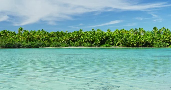 Beautiful tropical island paradise with palm trees in the south pacific