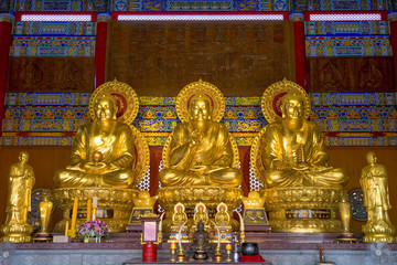 Fototapeta premium NONTHABURI, THAILAND - AUG 21, 2016 : Buddha statue of Three Lord Buddha of Wat Borom Racha Kanchana Phisake on August 21, 2016 in Nonthaburi, Thailand.