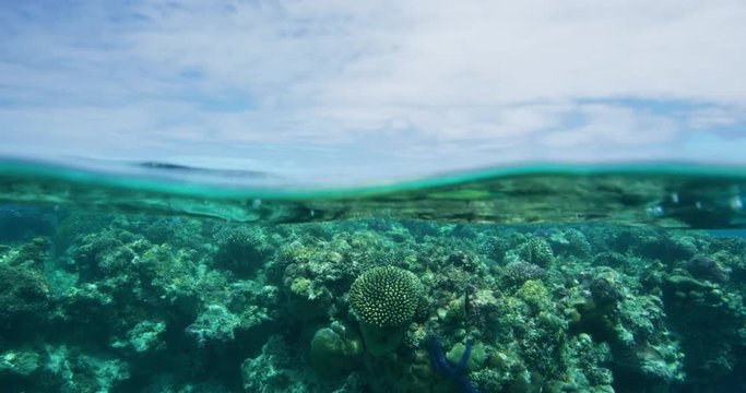 Split over-under view of tropical coral reef in south pacific