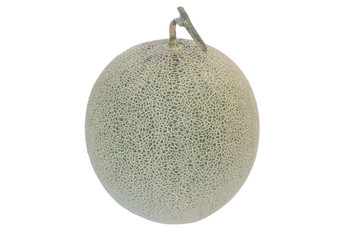 cantaloupe melon  isolated on white background
