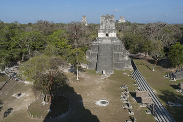 Tikal pryramid mayan guatemala forest peten beautiful nature old travel history historic park stone...