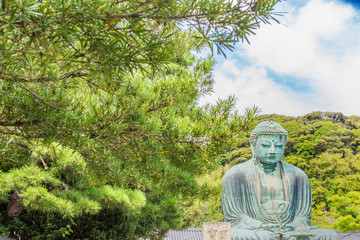 The Great Buddha in Kamakura, which is surrounded by green leaves.There are pigeon to Buddha's head.