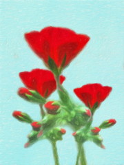 Red flower / Impression Oil painting photo effect  