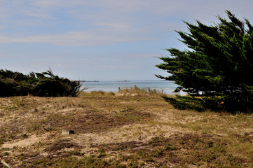 dunes
