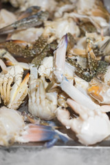 seafood buffet, so fresh. Fufu shabu and buffet, Thailand