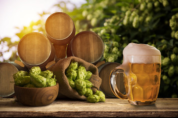 glass of beer and hop cones at sunset