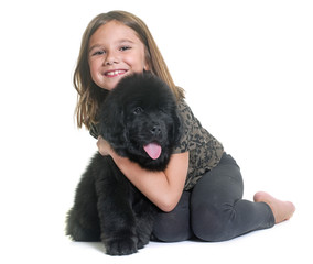 puppy newfoundland dog and child