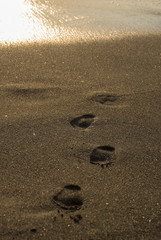 footprints on sand beach along the edge of sea