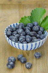 Blueberries in a bowl