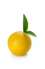 ripe orange with leaves