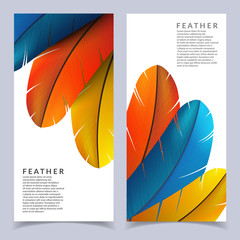 Colorful feather banners set. Beautiful bird feathers composition. Eps10 vector illustration. © plasteed